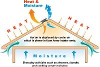 Infograph of the benefits of an attic ventilator.